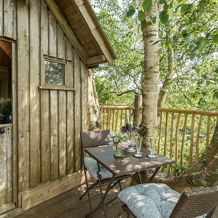 Вилла The Treehouse At Salcombe Farm Экстерьер фото