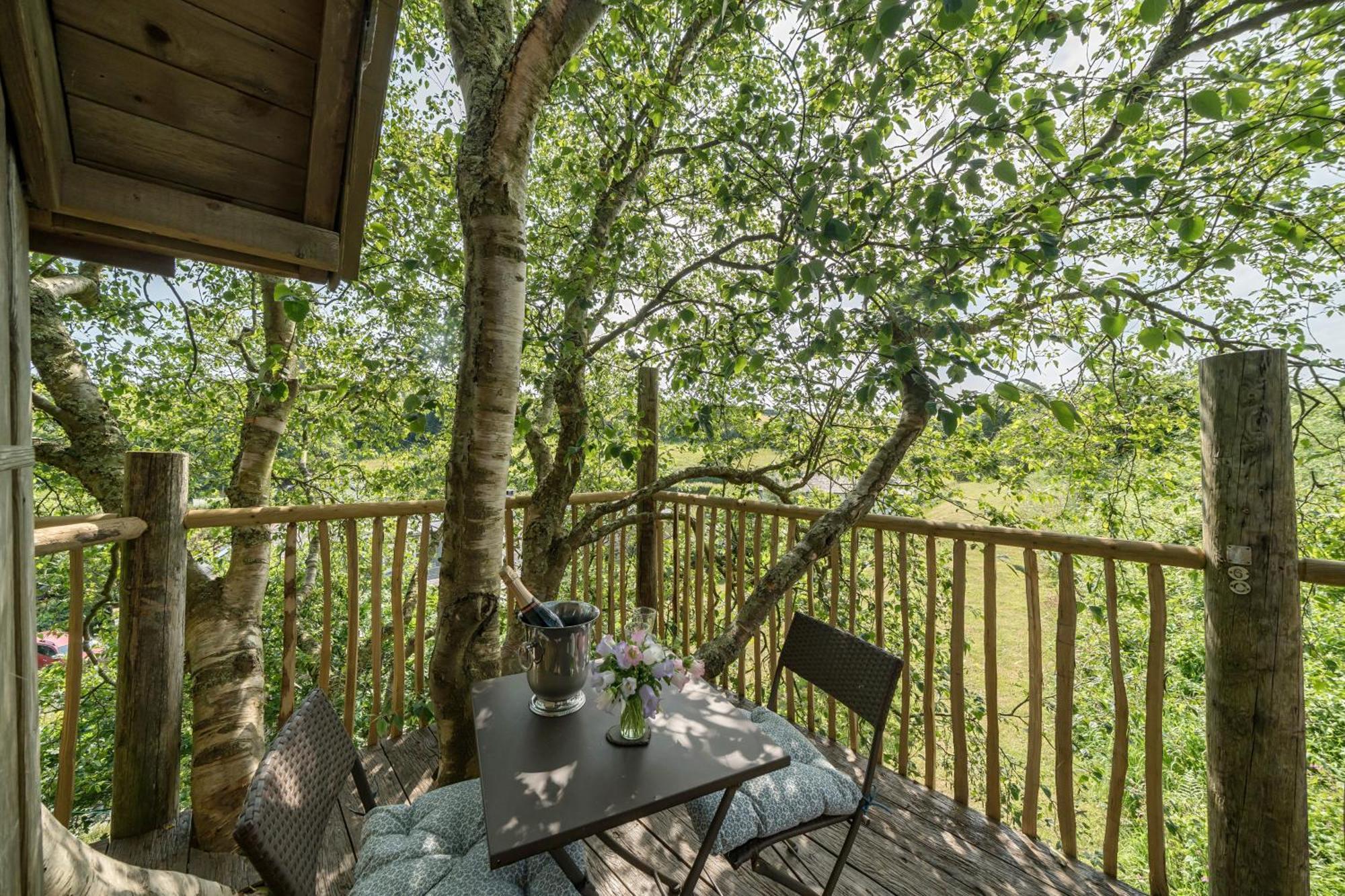Вилла The Treehouse At Salcombe Farm Экстерьер фото