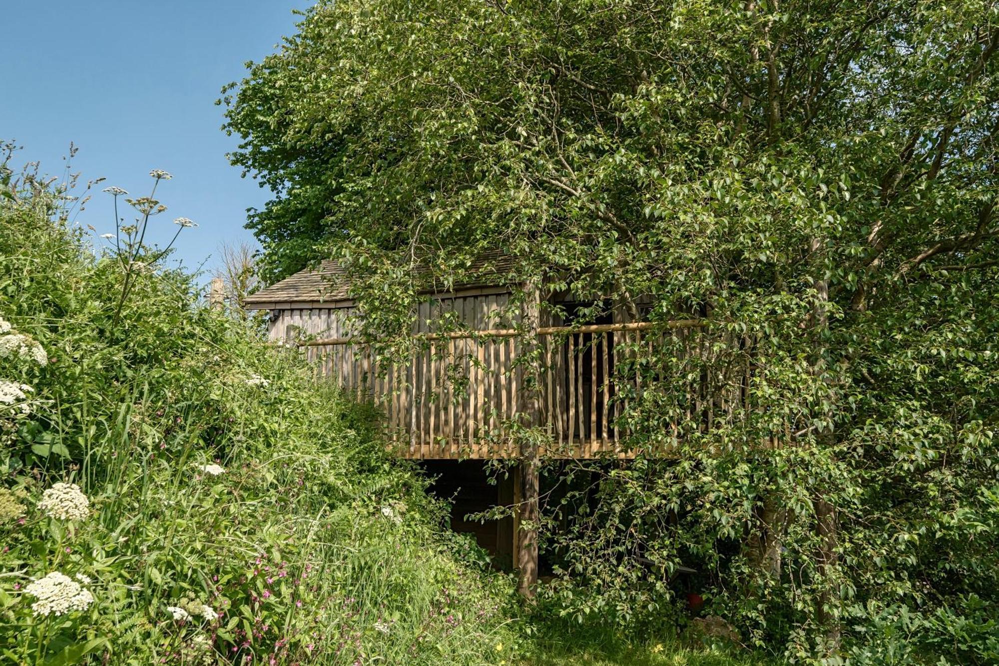 Вилла The Treehouse At Salcombe Farm Экстерьер фото