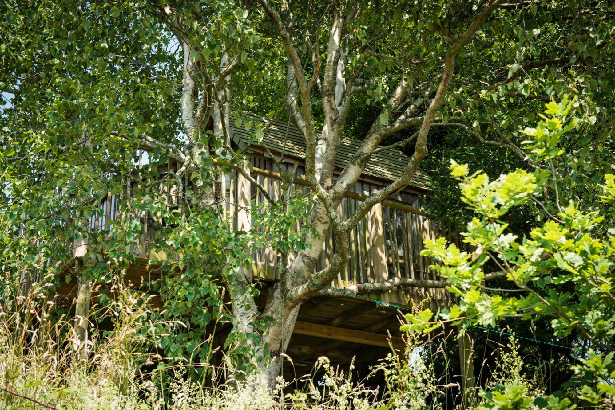 Вилла The Treehouse At Salcombe Farm Экстерьер фото